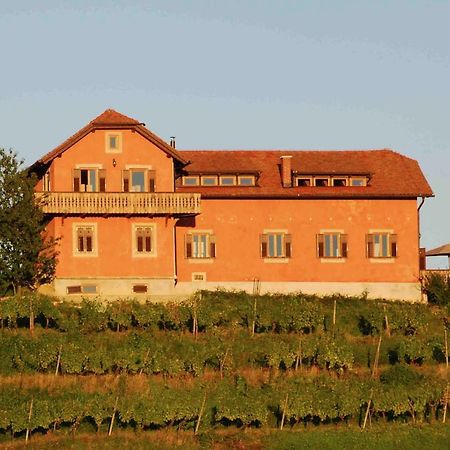 Hisa Vina Villa Podlehnik Dış mekan fotoğraf