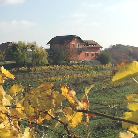 Hisa Vina Villa Podlehnik Dış mekan fotoğraf