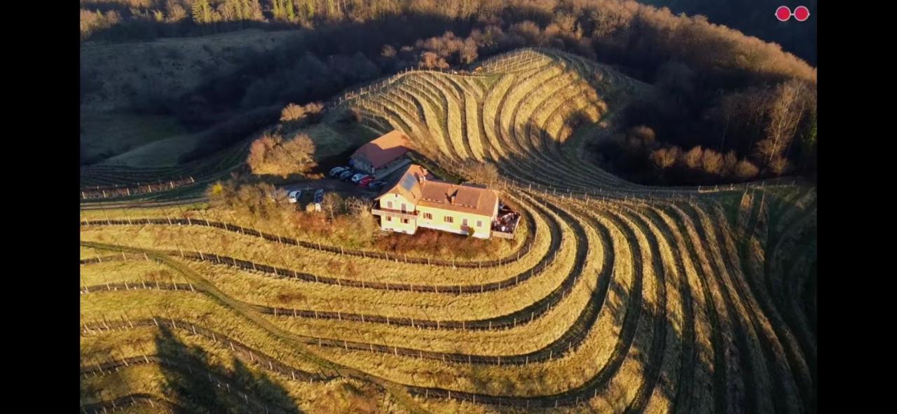 Hisa Vina Villa Podlehnik Dış mekan fotoğraf