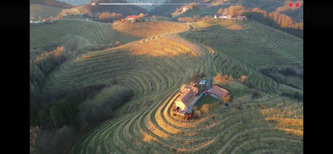 Hisa Vina Villa Podlehnik Dış mekan fotoğraf