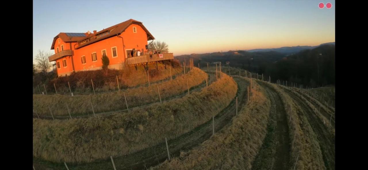 Hisa Vina Villa Podlehnik Dış mekan fotoğraf