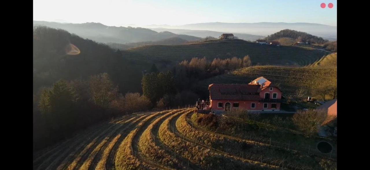 Hisa Vina Villa Podlehnik Dış mekan fotoğraf