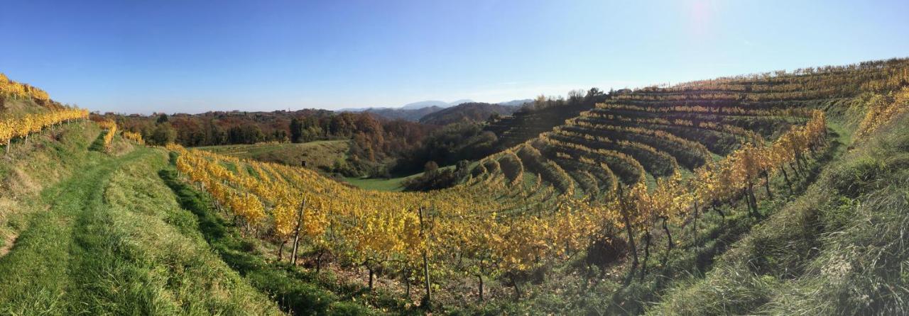 Hisa Vina Villa Podlehnik Dış mekan fotoğraf