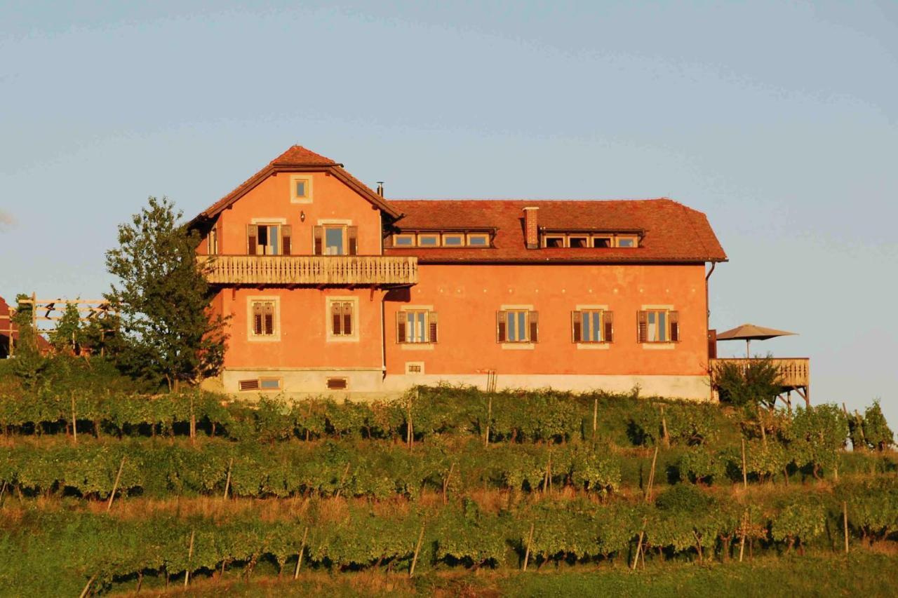 Hisa Vina Villa Podlehnik Dış mekan fotoğraf