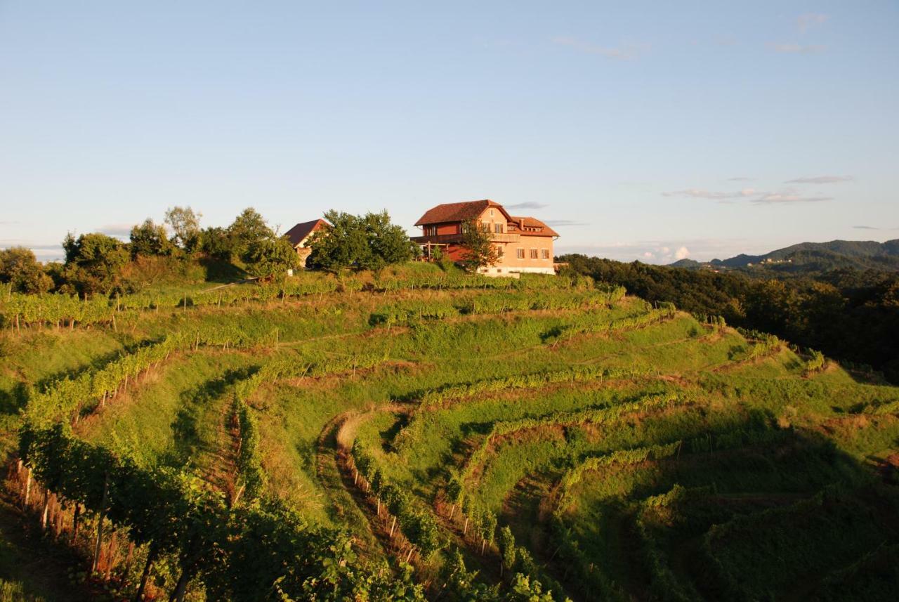 Hisa Vina Villa Podlehnik Dış mekan fotoğraf
