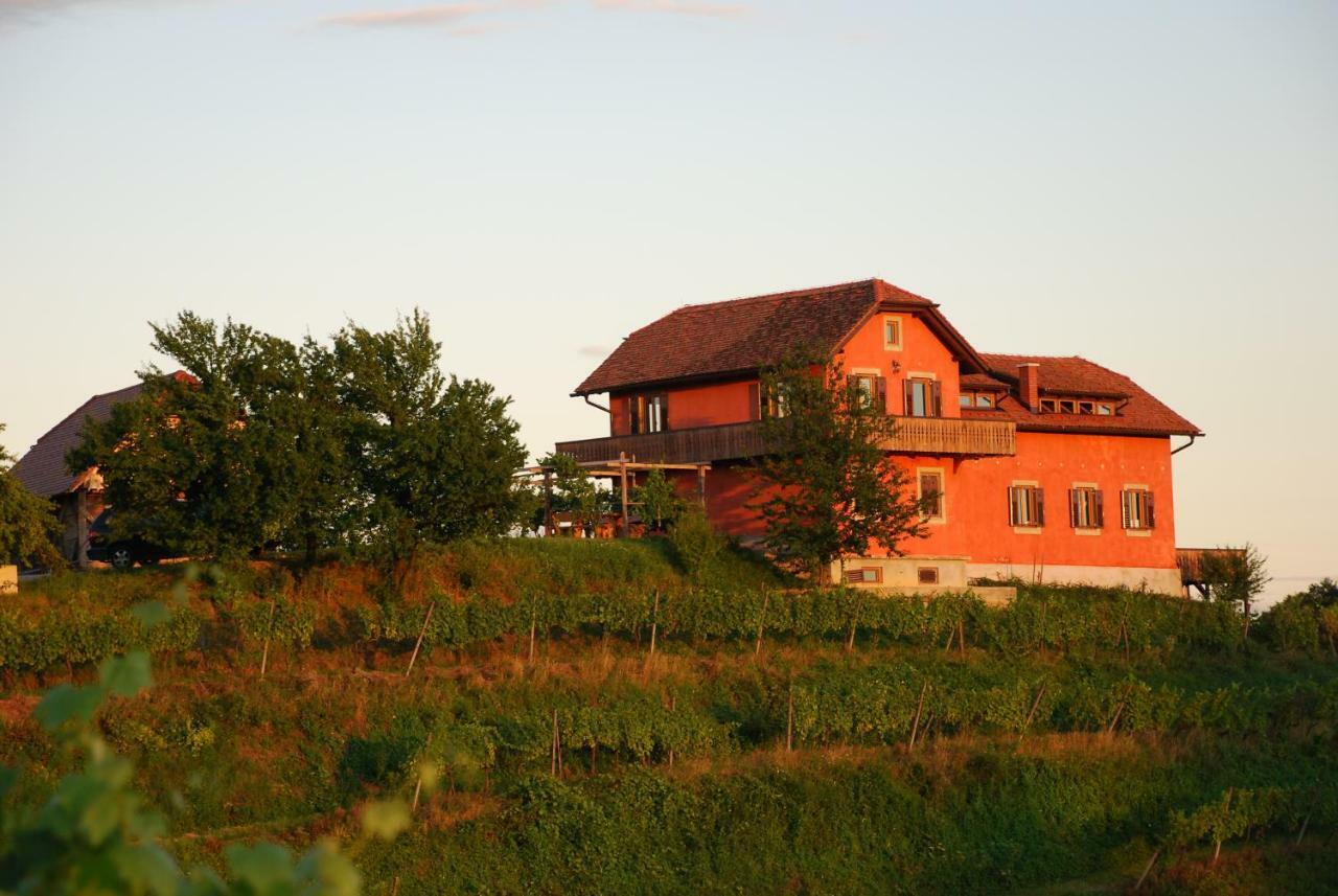 Hisa Vina Villa Podlehnik Dış mekan fotoğraf