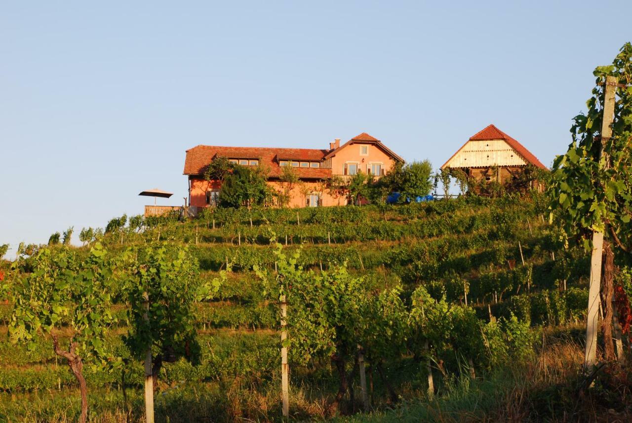Hisa Vina Villa Podlehnik Dış mekan fotoğraf