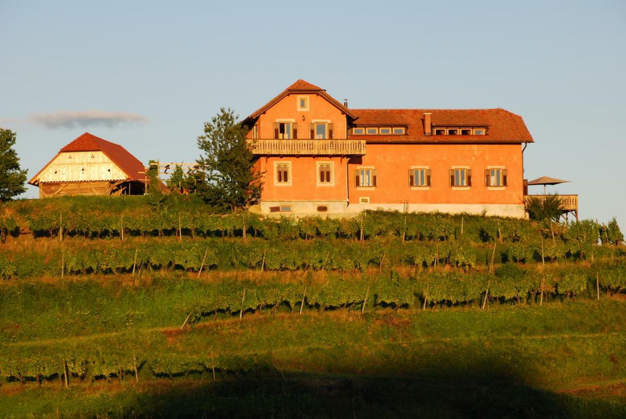 Hisa Vina Villa Podlehnik Dış mekan fotoğraf