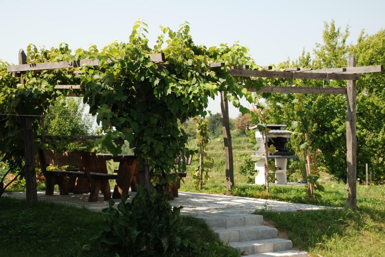 Hisa Vina Villa Podlehnik Dış mekan fotoğraf