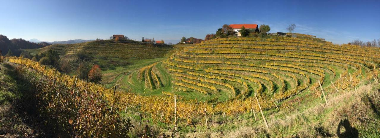 Hisa Vina Villa Podlehnik Dış mekan fotoğraf