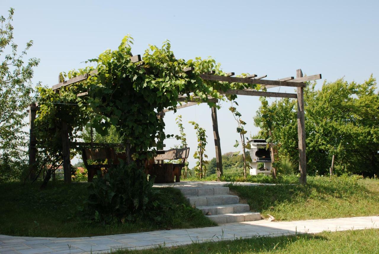 Hisa Vina Villa Podlehnik Dış mekan fotoğraf