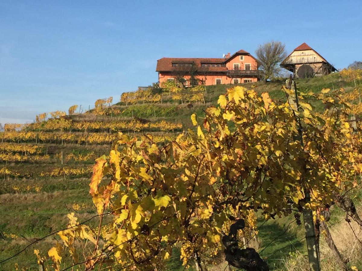 Hisa Vina Villa Podlehnik Dış mekan fotoğraf